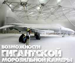 Старый истребитель F-4E Phantom демонстрирует возможности гигантской морозильной камеры... (Фото Reuters). Источник: membrana.ru...