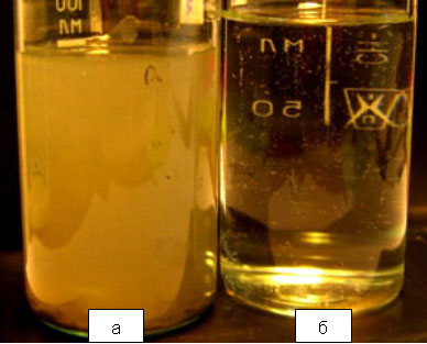 Фотографии образцов технологической воды через 4 месяца (а) и через 1 день (б) после заправки оборотной системы охлаждения