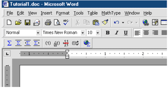 c Microsoft Word   MathType...